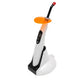 LED CURING LIGHT