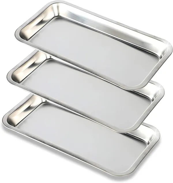 Stainless Steel Instrument Tray